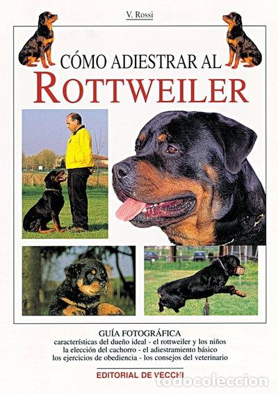 Libros: C&oacute;mo adiestrar al rottweiler- 9788431525606 - Foto 1