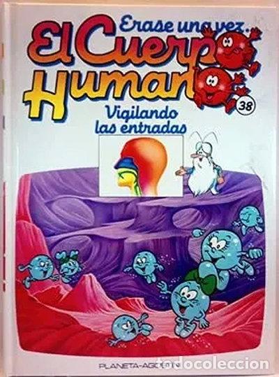 Libros: &Eacute;rase Una Vez El Cuerpo Humano, 38. Vigilando las Entradas- 9788439518310