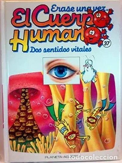 Libri di seconda mano: &Eacute;rase una vez el Cuerpo Humano, 37. Dos sentidos vitales- 9788439518303