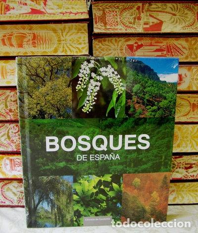 Libros: Bosques de Espa&ntilde;a- 9788467245653
