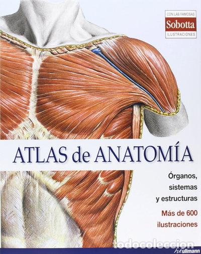 Libros: Atlas de Anatom&iacute;a- 9783848005604