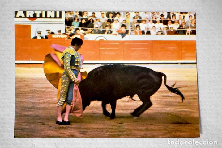 Libros: Postal Toros chicuelina - Foto 1