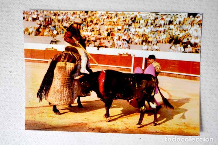 Livros em segunda m&atilde;o: Postal Toros un puyazo
