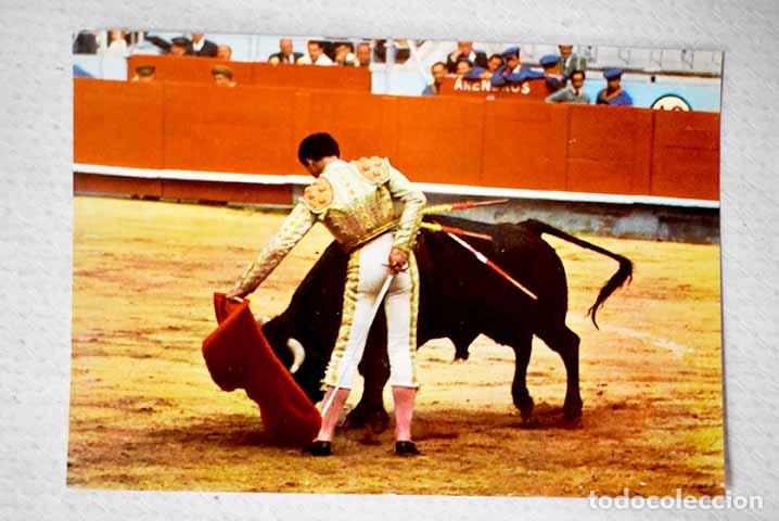 Livros em segunda m&atilde;o: Postal Toros pase natural