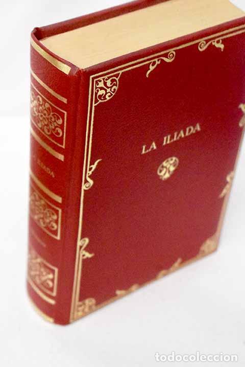 Livres: La Il&iacute;ada: Homero: Dalmau Soc&iacute;as..- Homero