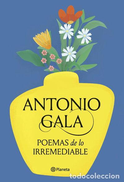 Livres: Poemas de lo irremediable- 9788408276715