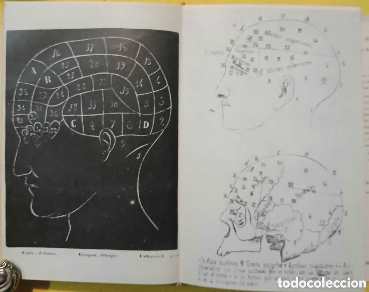 Libros: Entre la ciencia y la magia - Foto 6