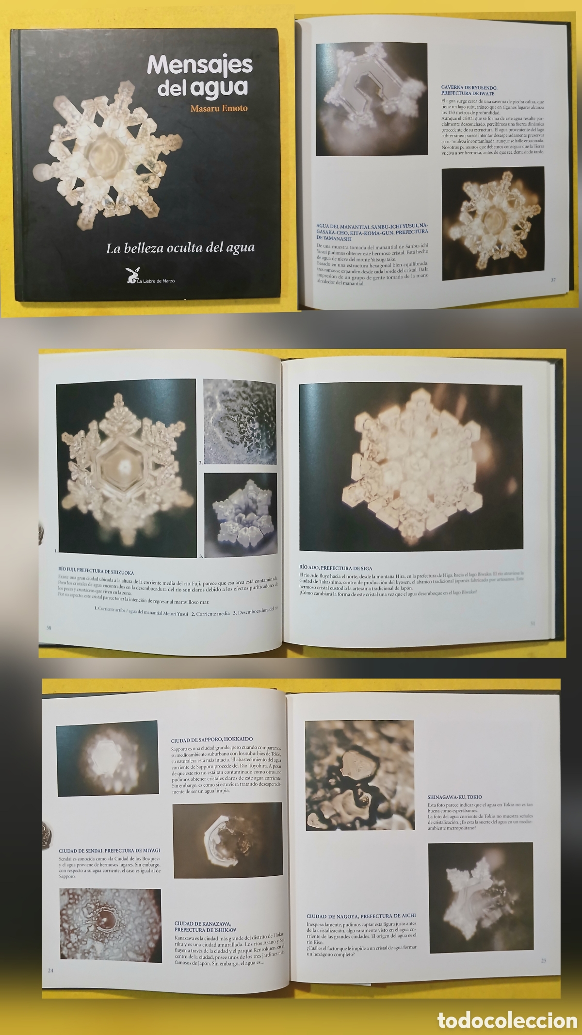 Libros: Mensajes del agua, Masaru Emoto