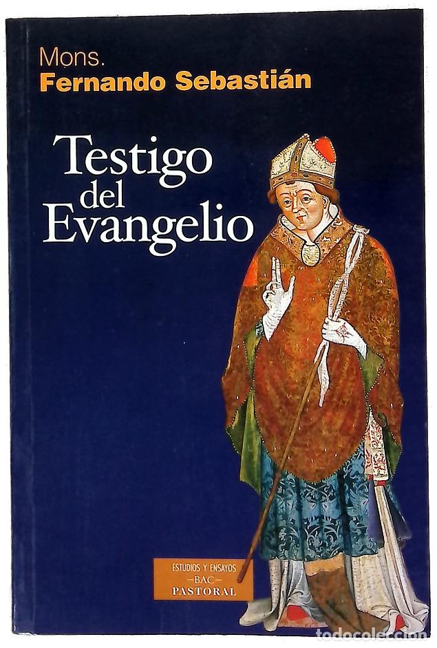 Libros: Testigo del Evangelio - Sebasti&aacute;n Aguilar, Fernando; Vera, Jos&eacute; G