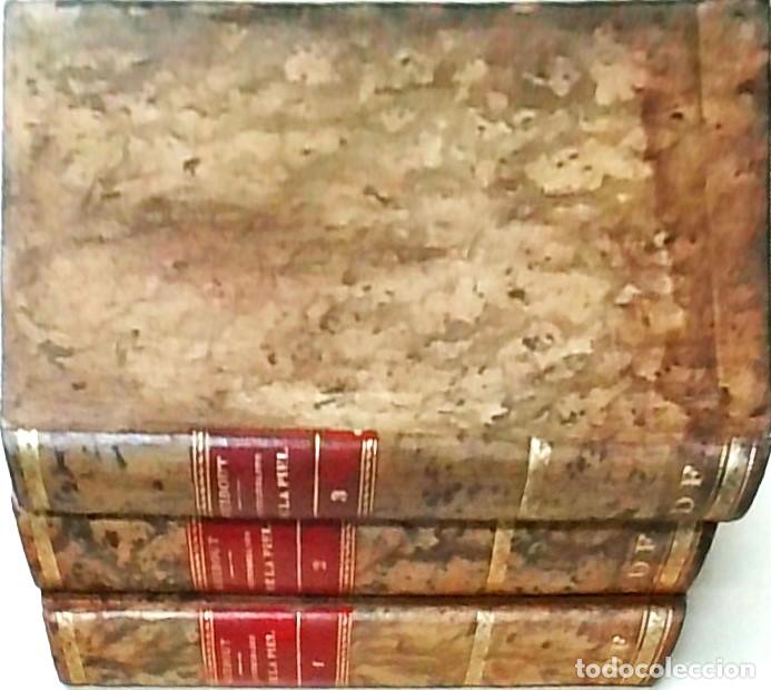 books: Lecciones cl&iacute;nicas sobre las enfermedades de la piel, dadas en el Hospital de San Luis, de Par&iacute;s po