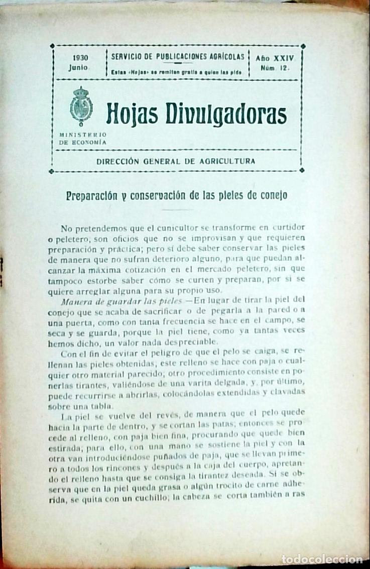 Livres: Hojas Divulgadoras A&ntilde;o XXIV N&uacute;m. 12: Preparaci&oacute;n y conservaci&oacute;n de las pieles de conejo - An&oacute;nimo: