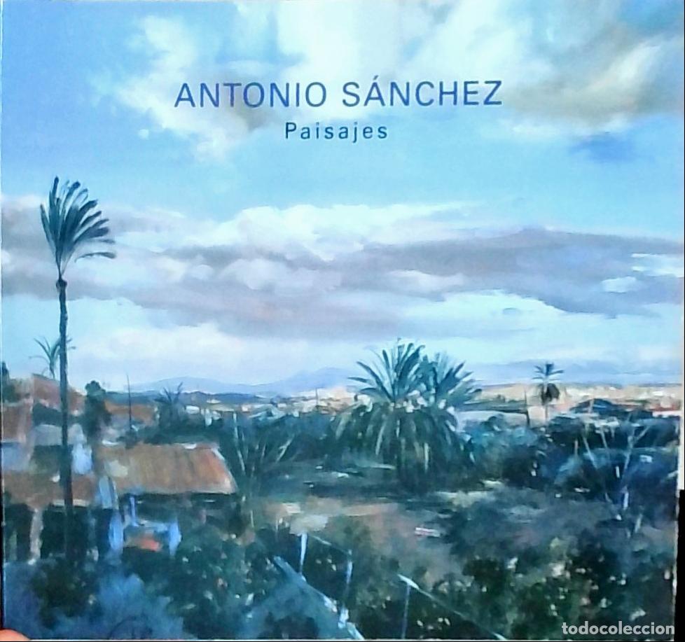 Libros: Paisajes: del 12 de Mayo al 15 de Junio - Antonio S&aacute;nchez:
