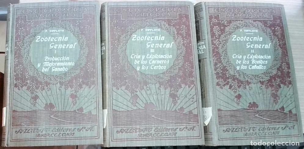 Livros em segunda m&atilde;o: Zootecnia General. 3 tomos. I, Producci&oacute;n y Mejoramiento del Ganado. II, Cr&iacute;a y explotaci&oacute;n de los b