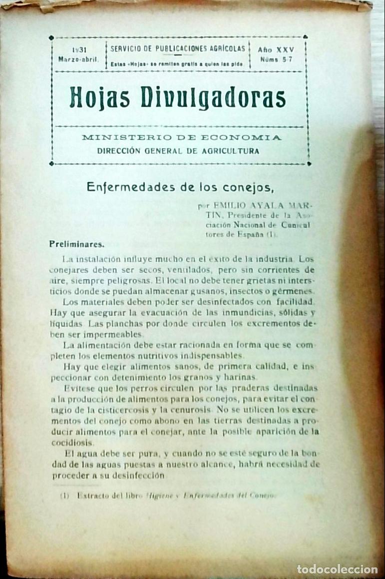 Livros em segunda m&atilde;o: Hojas Divulgadoras A&ntilde;o XXV N&uacute;ms. 5-7: Enfermedades de los conejos - Emilio Ayala Mart&iacute;n: