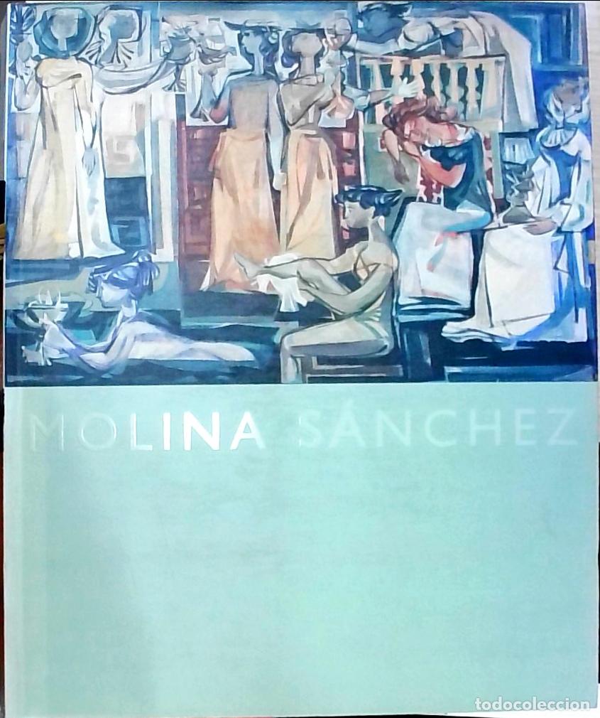 Libros: Molina S&aacute;nchez: del 14 de Mayo al 16 de Junio. Sala de exposiciones de la iglesia de San Esteban - C