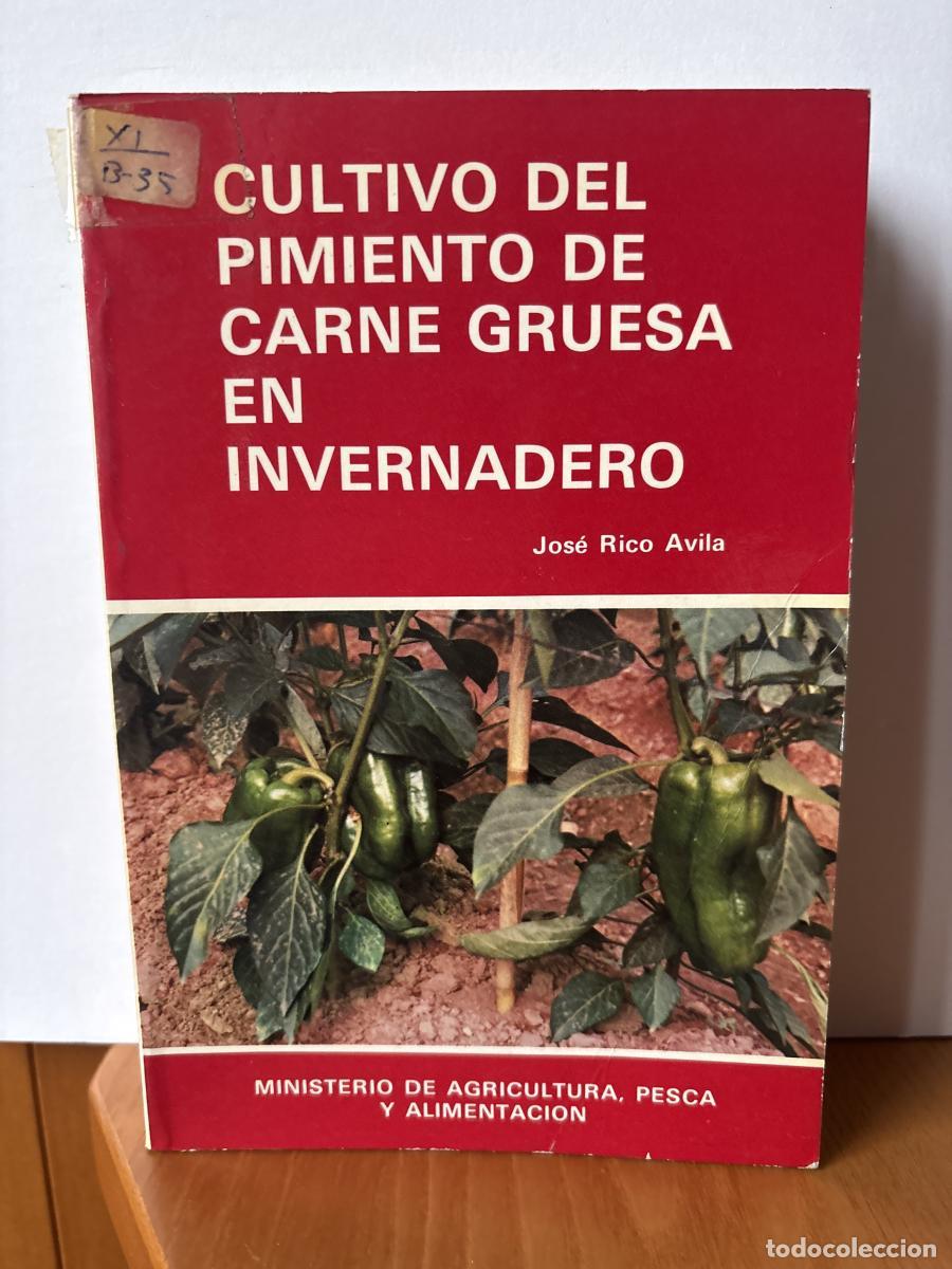 Livros em segunda m&atilde;o: Cultivo del pimiento de carne gruesa en invernadero - Jos&eacute; Rico &Aacute;vila TDK518