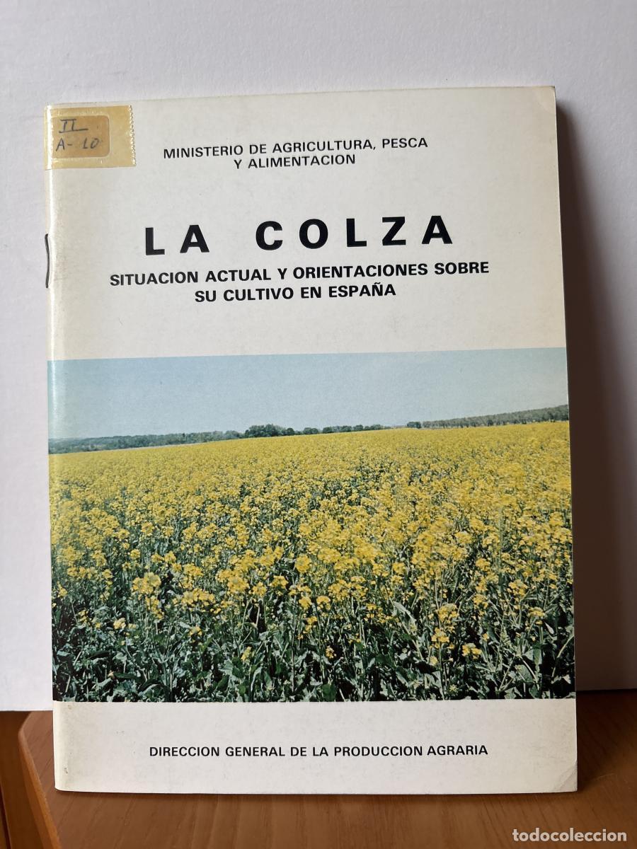 Libros: LA COLZA. SITUACION ACTUAL Y ORIENTACIONES SOBRE SU CULTIVO EN ESPA&Ntilde;A - FRANCISCO MONTERO, JOAQUIN G