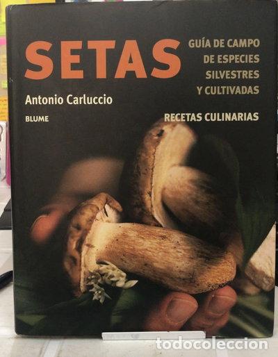 B&uuml;cher: Setas- 9788480765251
