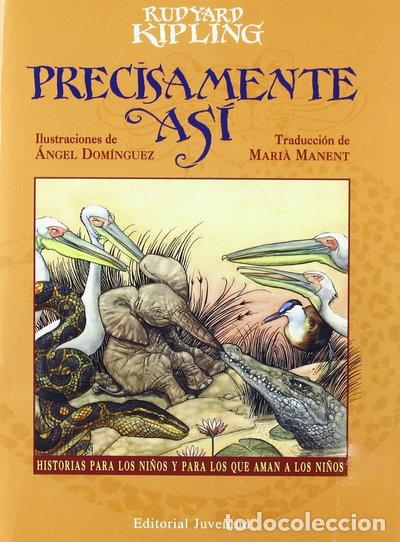 Libros: Precisamente as&iacute;- 9788426130730