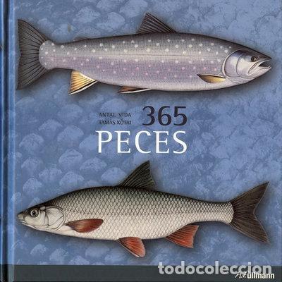 Livres: 365 peces- 9783833160974