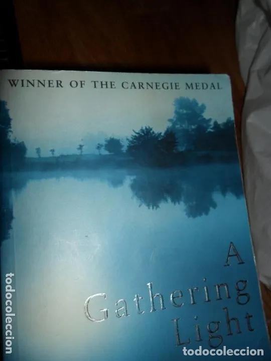 Livros em segunda m&atilde;o: the gathering light, Jennifer Donnelly, ed. Bloomsbury, en ingl&eacute;s - Jennifer Donnelly