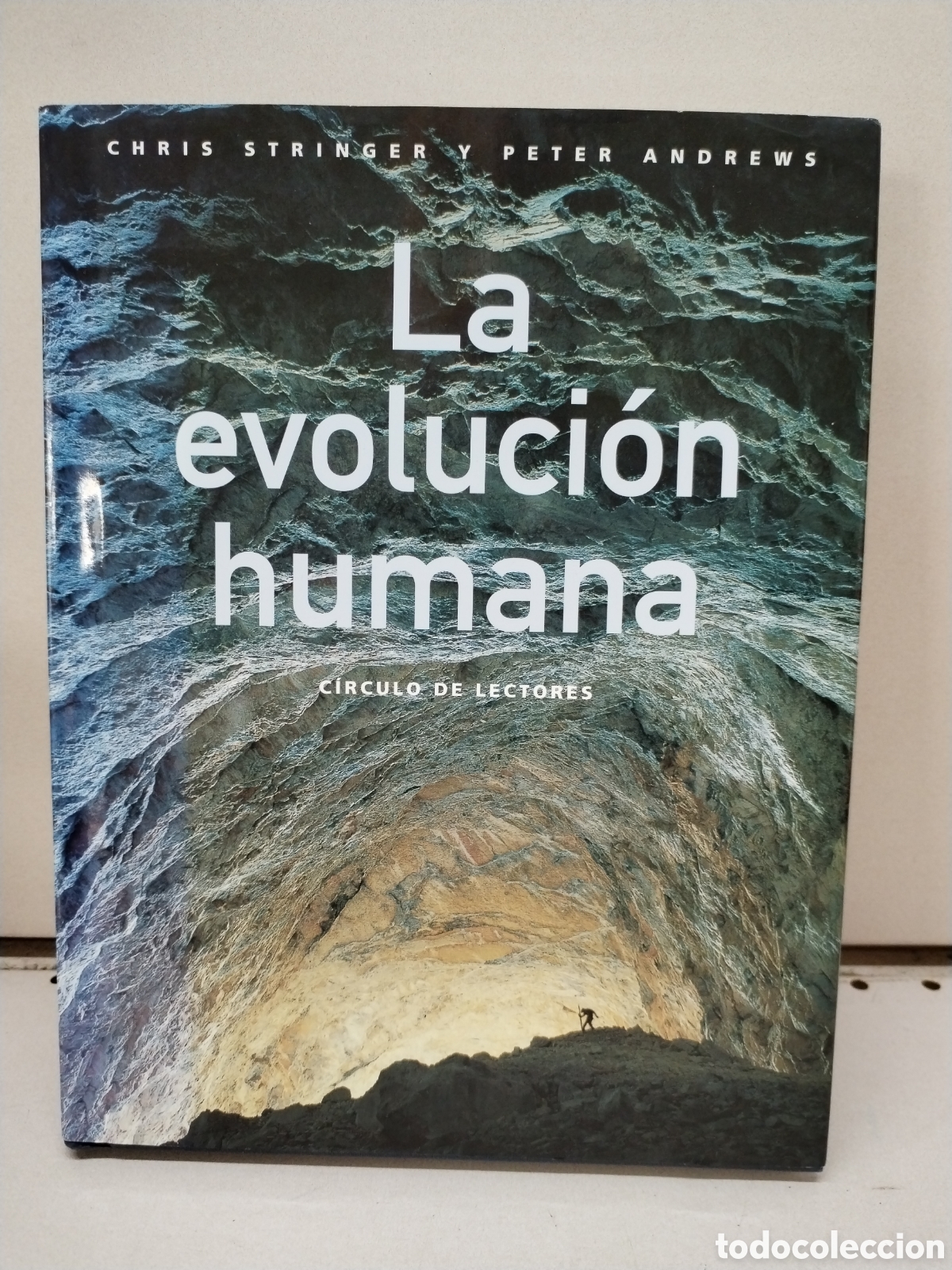 Libros: La evoluci&oacute;n humana - Stringer, Chris; Andrews, Peter - Foto 1