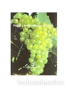 books: PLAGAS Y ENFERMEDADES DE LA VID - Pearson/Goheen