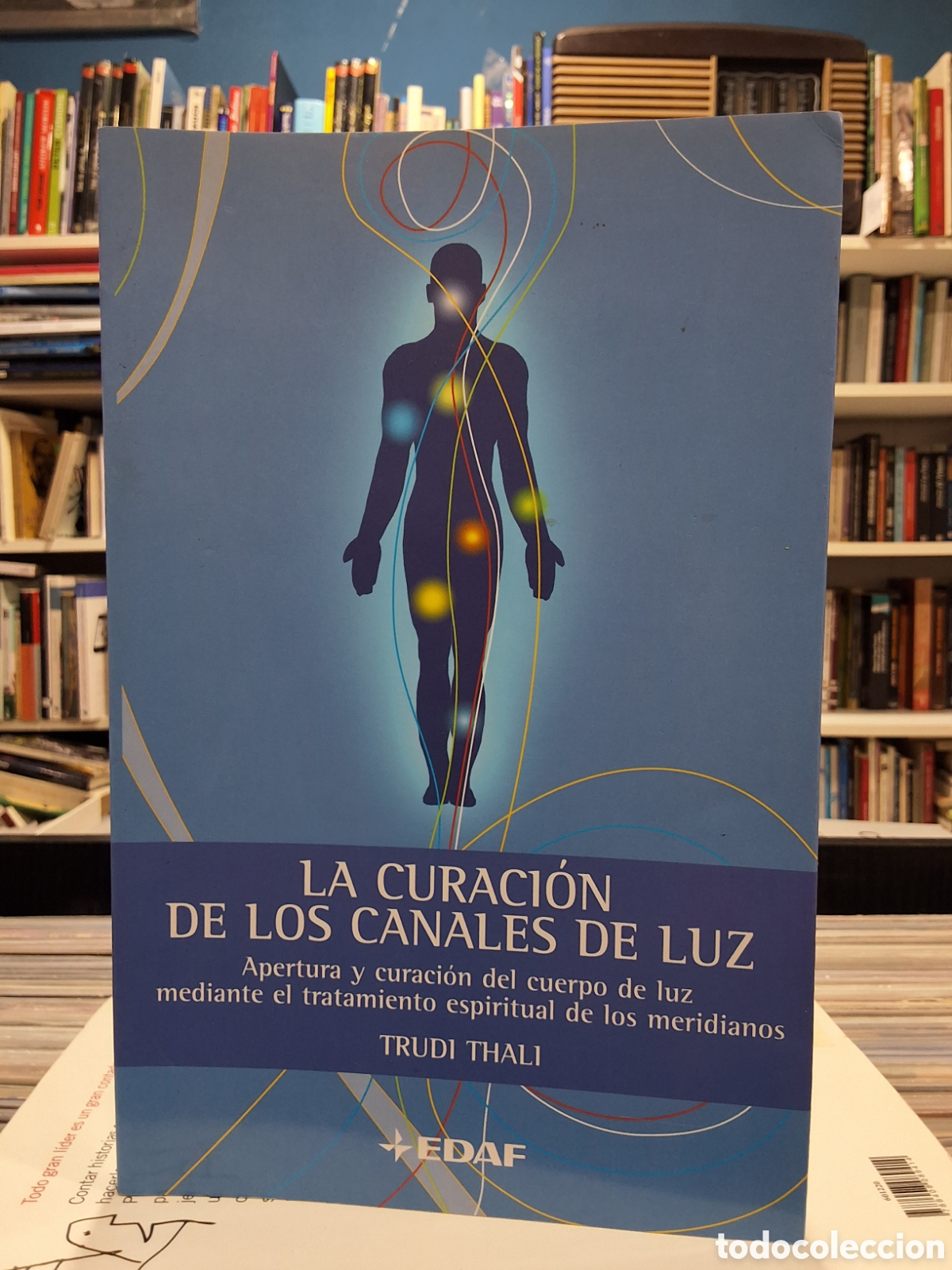 Libros: LA CURACI&Oacute;N DE LOS CANALES DE LUZ - TRATAMIENTO ESPIRITUAL DE LOS MERIDIANOS - TRUDI THALI