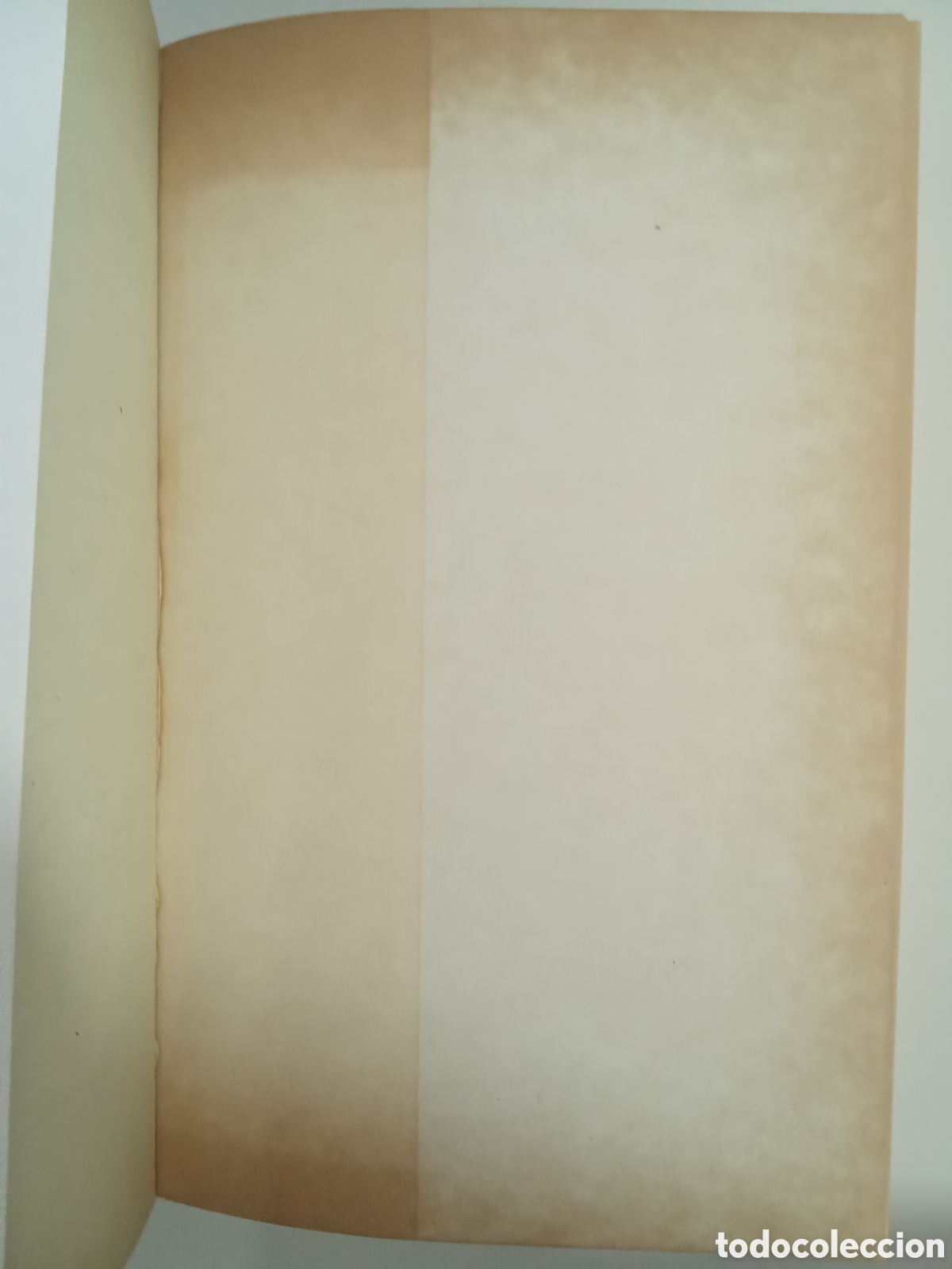 Libros: El Tarot. Las Cartas m&aacute;gicas de la fortuna y la muerte - Foto 3