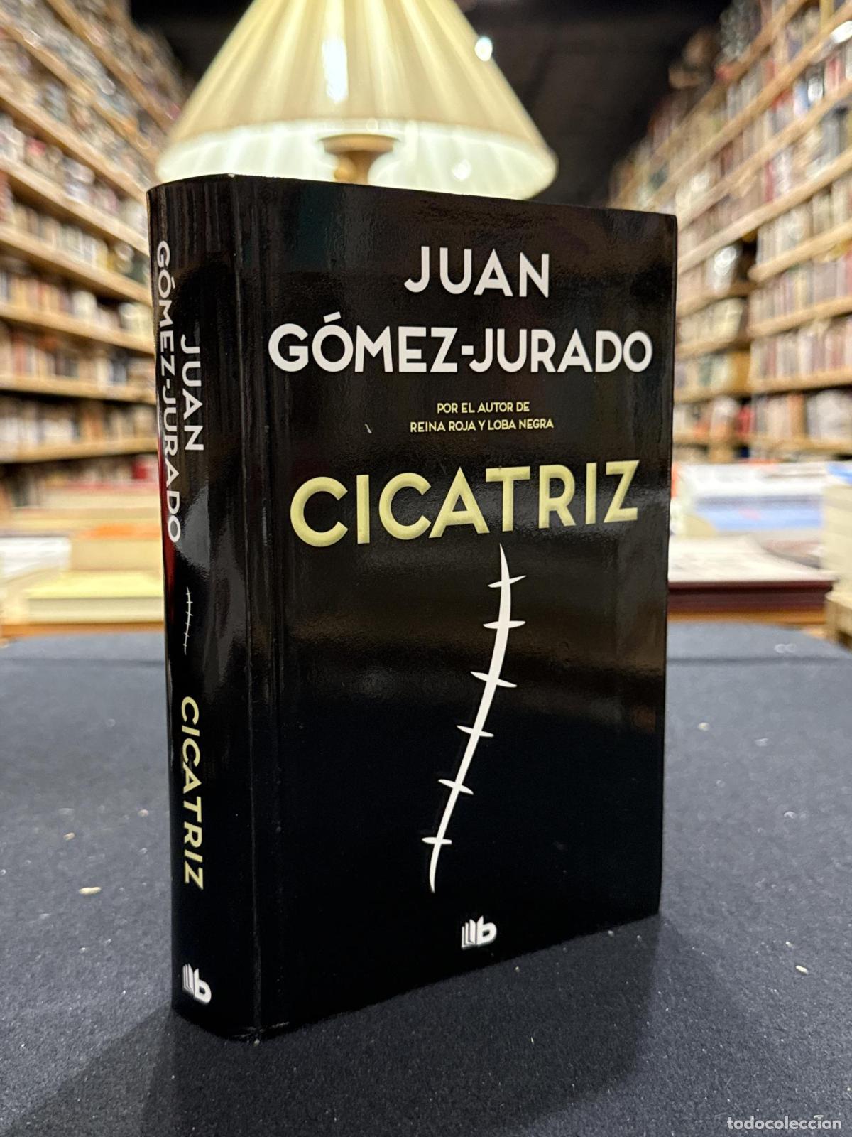 Libros: Cicatriz - Juan G&oacute;mez-Jurado