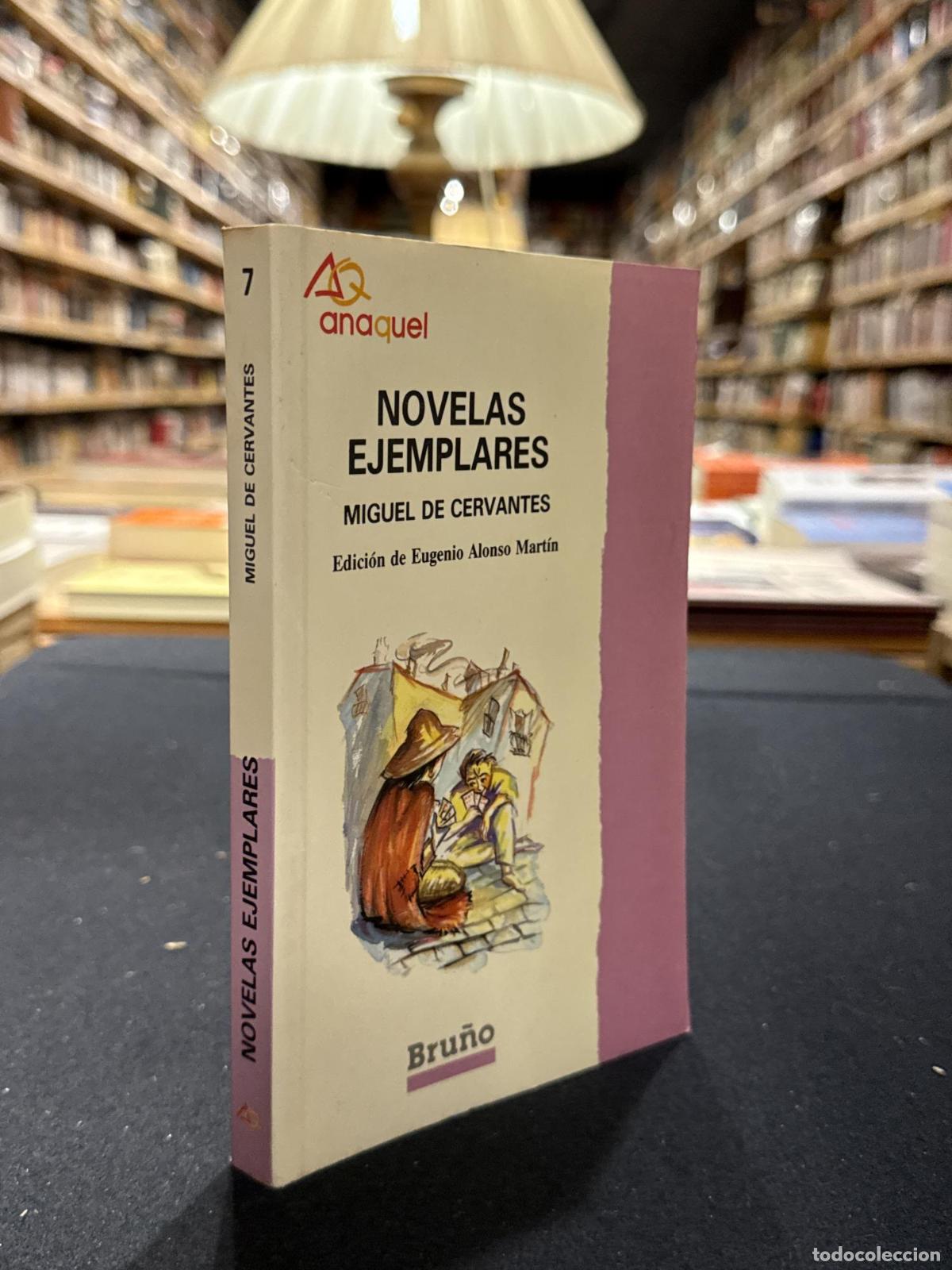 Libros: Novelas ejemplares - Miguel de Cervantes - Foto 1