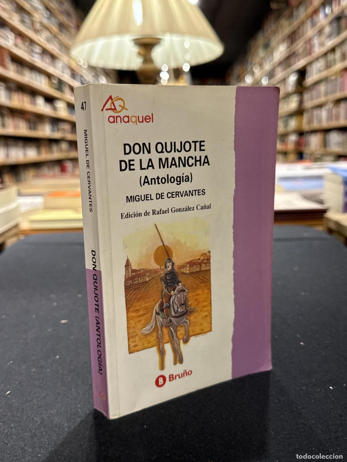 Livres: Don Quijote de La Mancha (Antolog&iacute;a) - Miguel de Cervantes