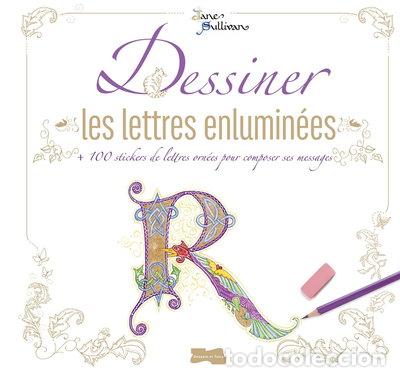 Livros em segunda m&atilde;o: Dessiner les lettres enlumin&eacute;es- 9782295006516