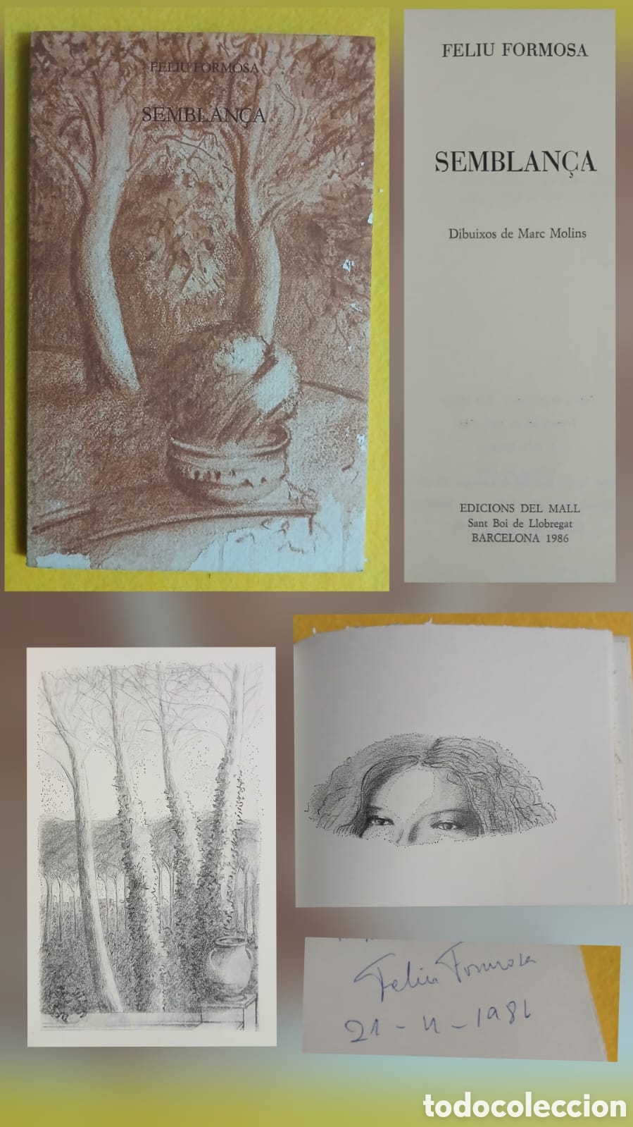 Libros: Semblan&ccedil;a, Feliu Formosa - Foto 2
