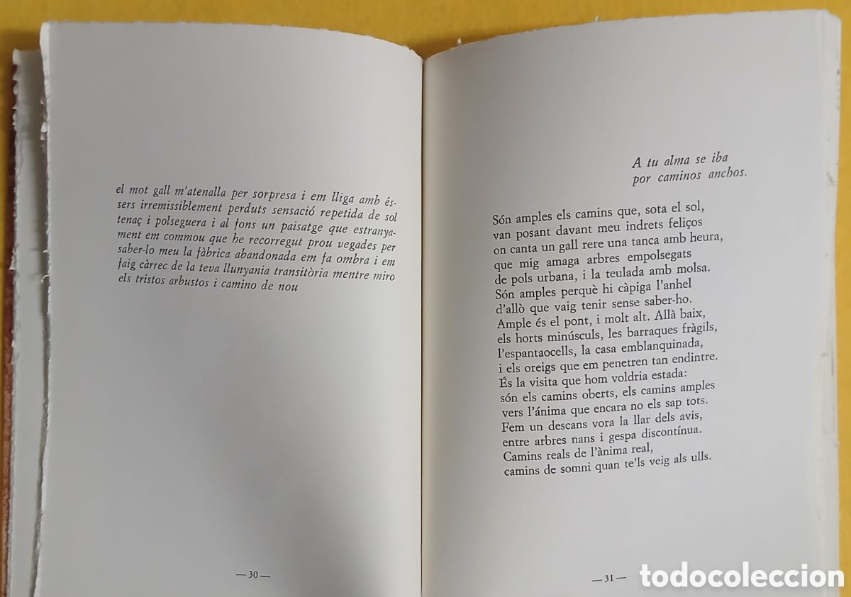 Libros: Semblan&ccedil;a, Feliu Formosa - Foto 7