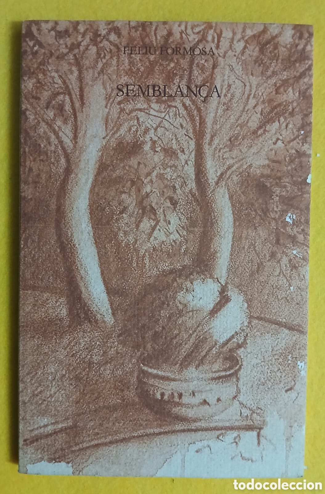 Libros: Semblan&ccedil;a, Feliu Formosa - Foto 1