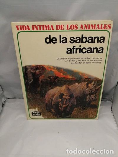 Libri di seconda mano: Vida &iacute;ntima de los animales de la sabana africana- 9788432125058