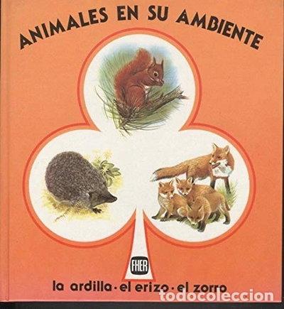 Libri di seconda mano: La ardilla, el erizo, el zorro- 9788424328399