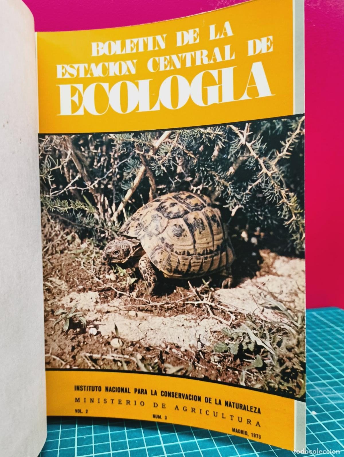 Libros: Bolet&iacute;n de la Estaci&oacute;n Central de Ecolog&iacute;a - ICONA - Foto 3