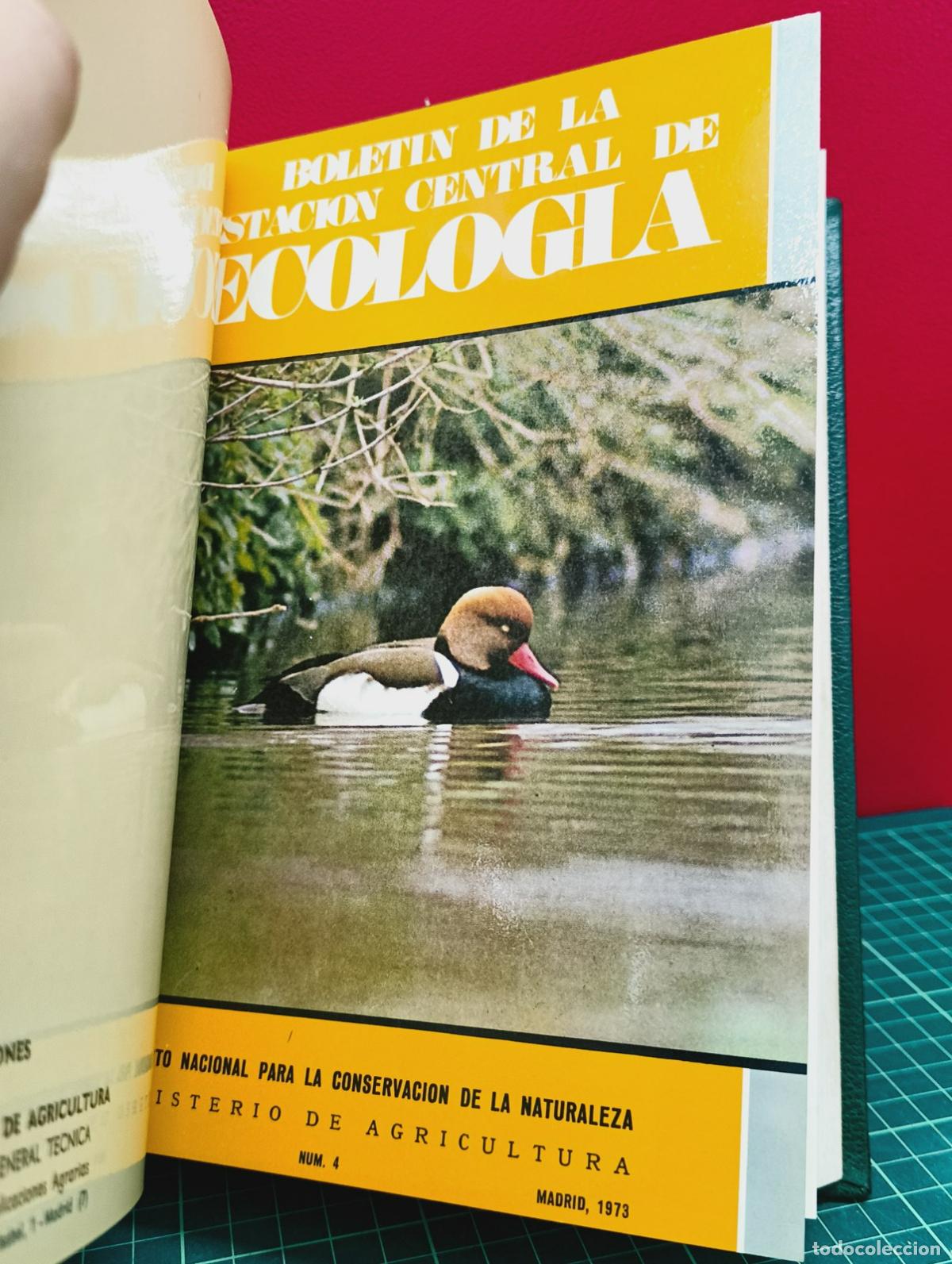 Libros: Bolet&iacute;n de la Estaci&oacute;n Central de Ecolog&iacute;a - ICONA - Foto 4