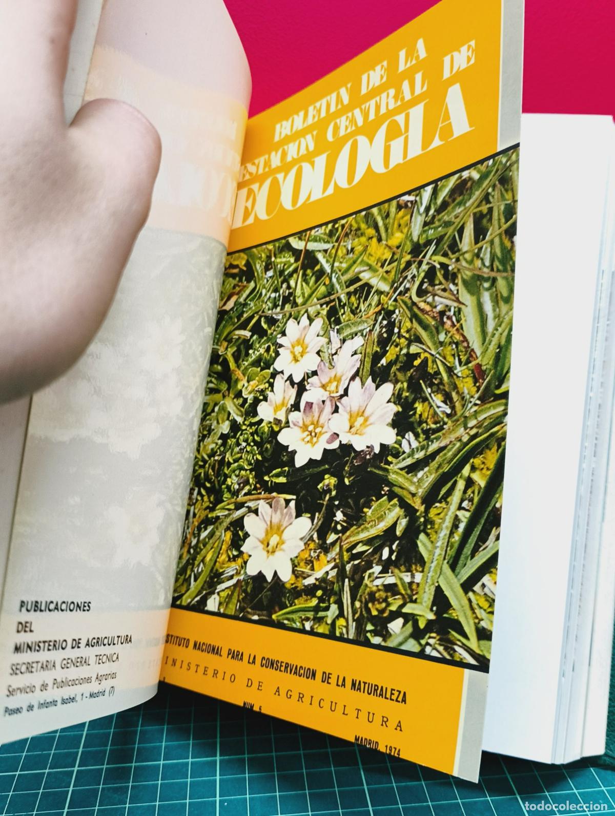 Libros: Bolet&iacute;n de la Estaci&oacute;n Central de Ecolog&iacute;a - ICONA - Foto 5