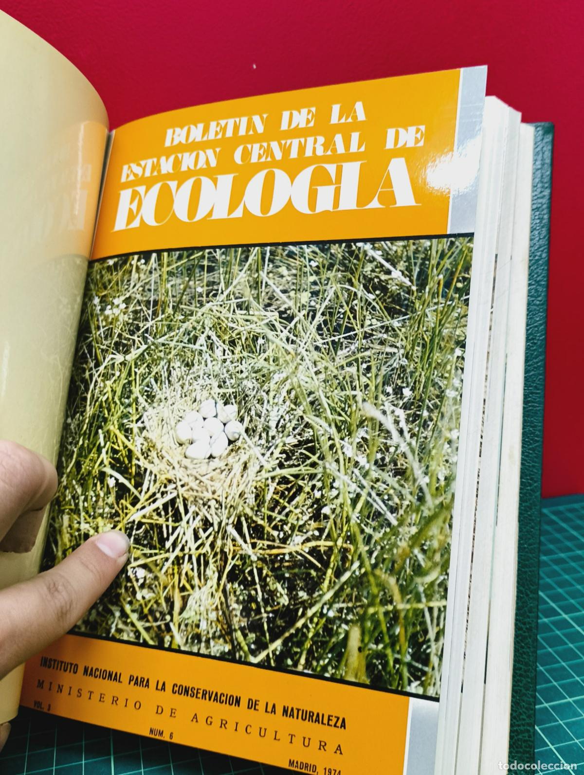 Libros: Bolet&iacute;n de la Estaci&oacute;n Central de Ecolog&iacute;a - ICONA - Foto 6