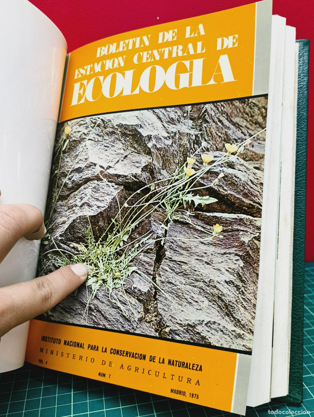Libros: Bolet&iacute;n de la Estaci&oacute;n Central de Ecolog&iacute;a - ICONA - Foto 7