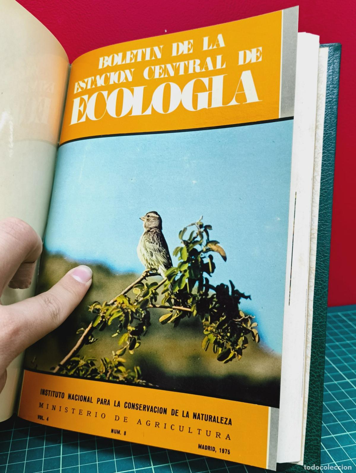 Libros: Bolet&iacute;n de la Estaci&oacute;n Central de Ecolog&iacute;a - ICONA - Foto 8
