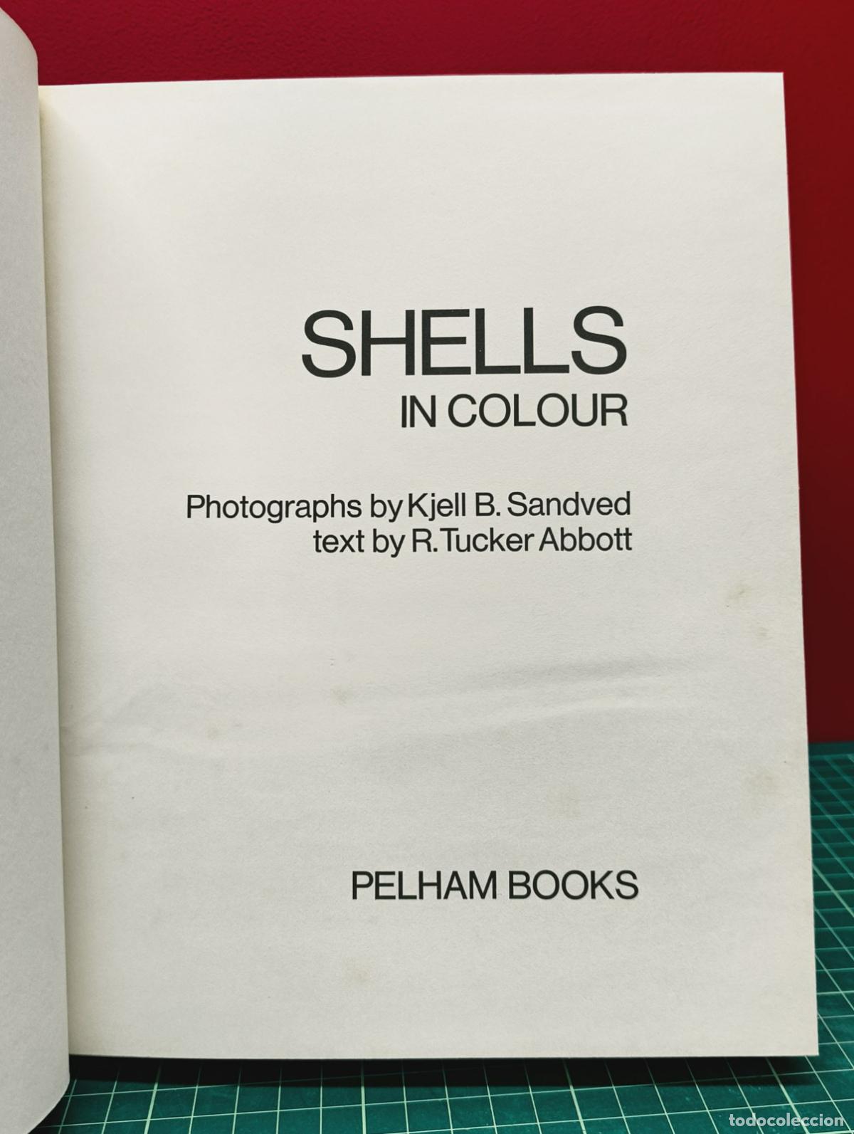 Libros: Shells in Colour - Sandved y Abbott - Foto 2