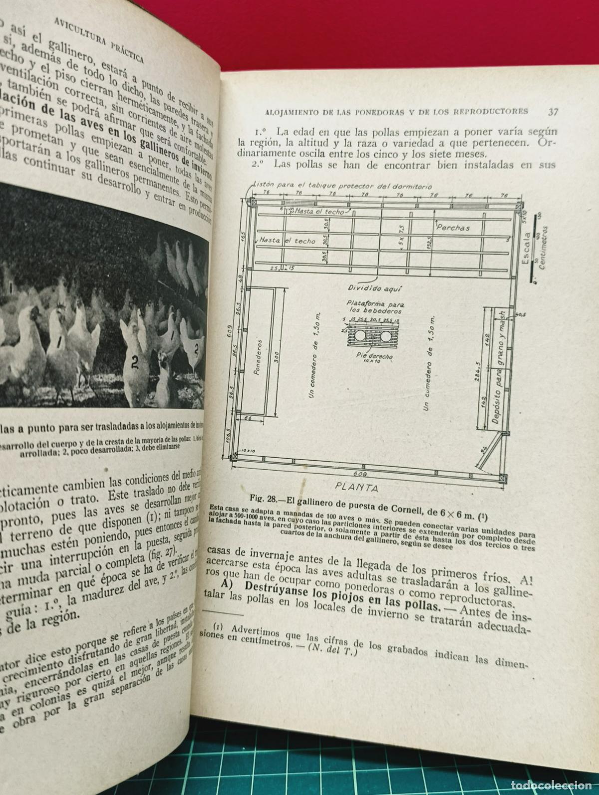Libros: Avicultura pr&aacute;ctica - James E. Rice y Harold E. Botsford - Foto 3