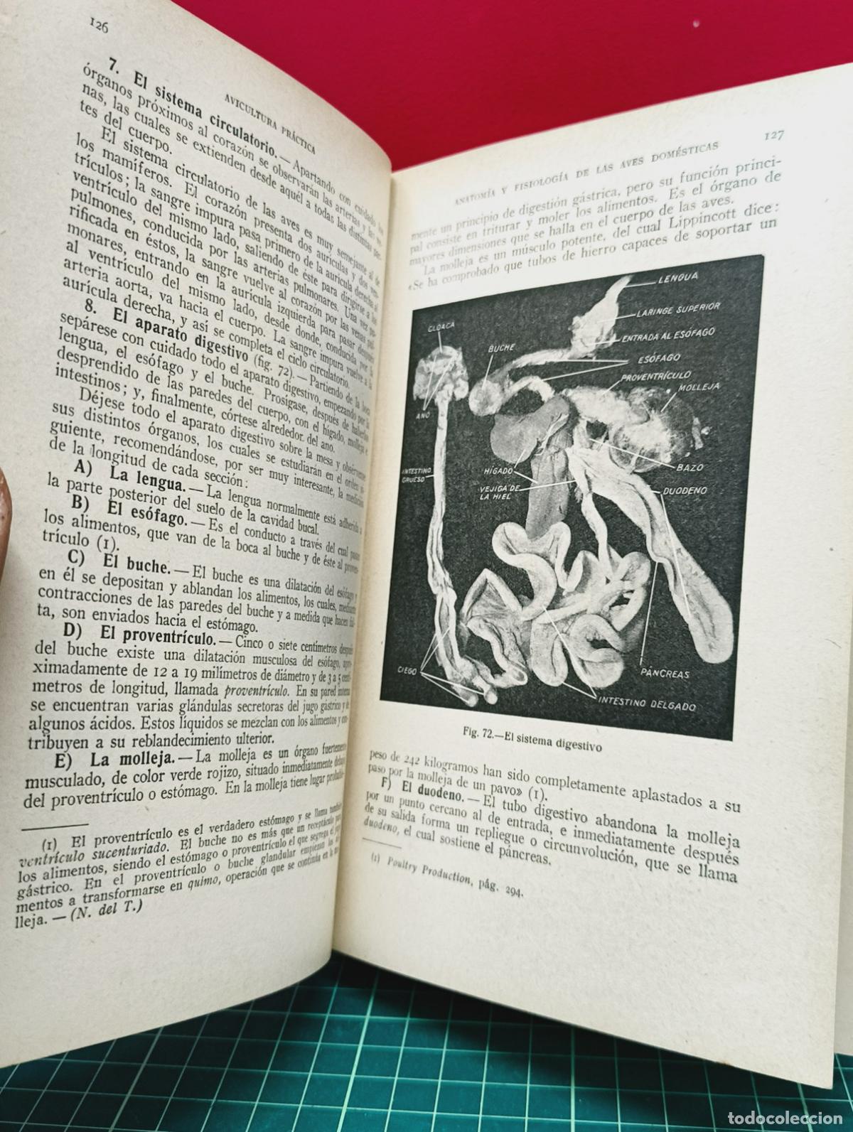 Libros: Avicultura pr&aacute;ctica - James E. Rice y Harold E. Botsford - Foto 4