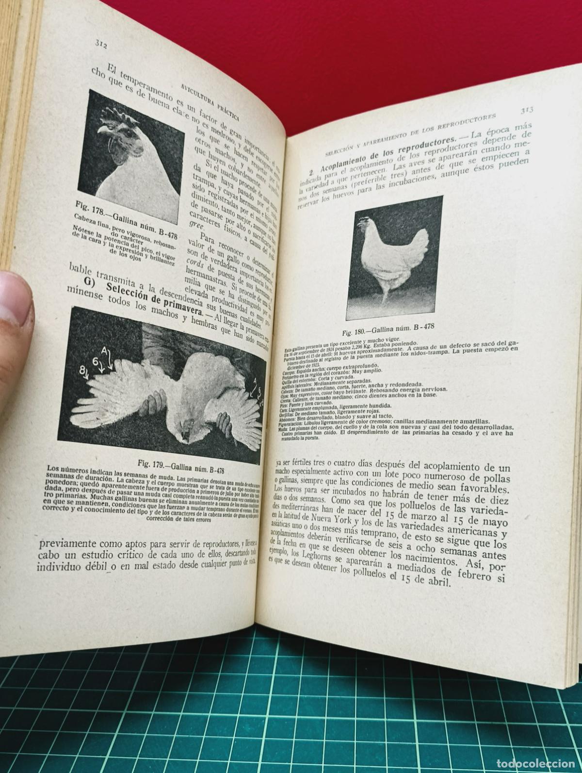 Libros: Avicultura pr&aacute;ctica - James E. Rice y Harold E. Botsford - Foto 5