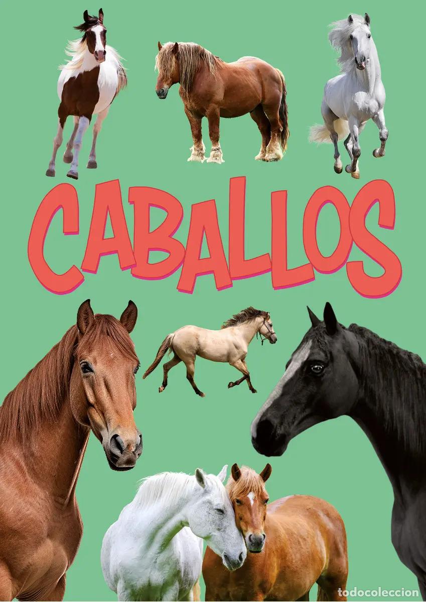 Libros: CABALLOS - ISABEL - ROMEO FLORENCIA TOYOS - Foto 1