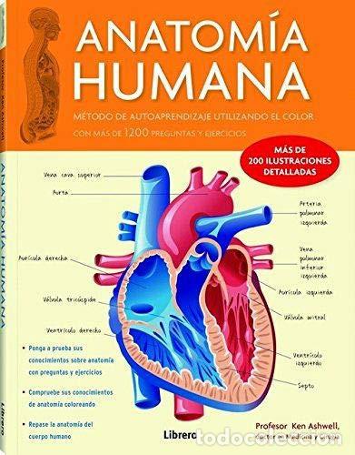 Libros: ANATOMIA HUMANA CORAZON V1 - KEN ASHWELL - Foto 1